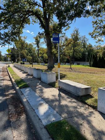 ADA compliant bus stop at Seminary Road and Beth El Congregation