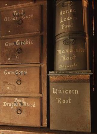 Specialty Tour: Magical Apothecary