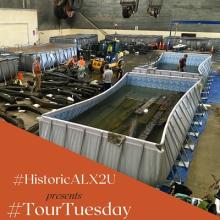 TourTuesday: Conservation tanks with waterlogged wood from ships