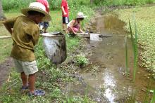 Children at a stream with nets