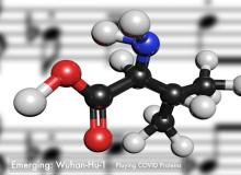 protein structure graphic