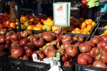 TOMATES