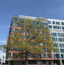 Green building and a tree