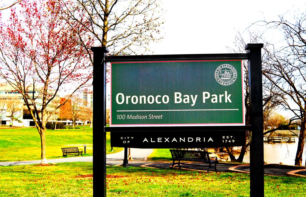 RPCA Oronoco Bay Park Ebielen 3